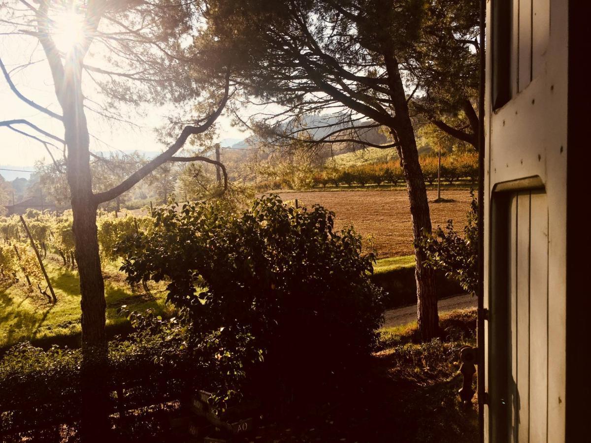 Il Cardello Locanda Casola Valsenio Zewnętrze zdjęcie