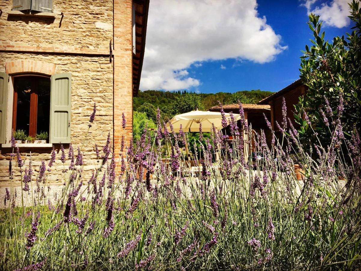 Il Cardello Locanda Casola Valsenio Zewnętrze zdjęcie
