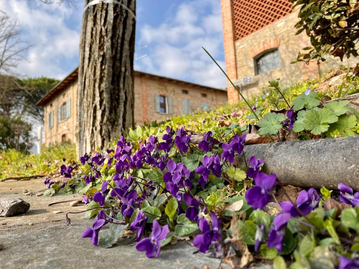 Il Cardello Locanda Casola Valsenio Zewnętrze zdjęcie
